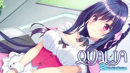 QUALIA：约定的轨迹|QUALIA: The Path of Promise中文