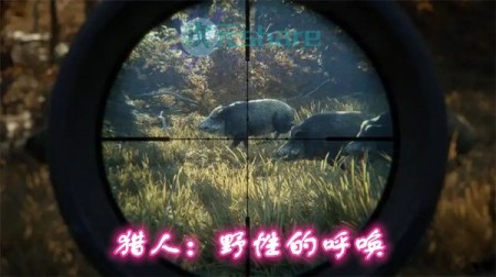 猎人：野性的呼唤 2019版+升级档Build1681978 +[目前全DLC 2019.6.3] PC游戏网盘分享