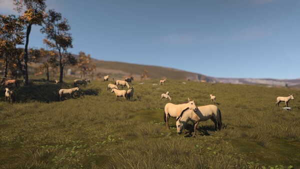 《古城|古代城市 Ancient Cities》Build.21735546丨中文版网盘下载-次元share