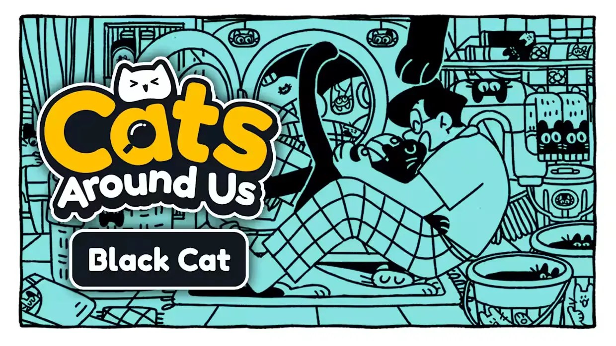 我们身边的猫：黑猫|Cats Around Us: Black Cat-次元share