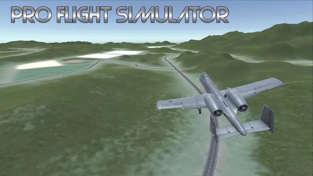 专业飞行模拟器|Pro Flight Simulator-次元share