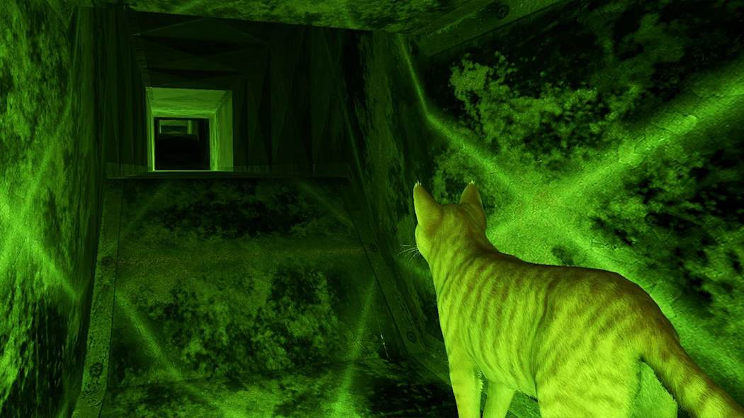 小猫大营救2|Little Strays 2中文-次元share